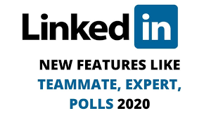 linkedin new features like teammate expert poll 2020